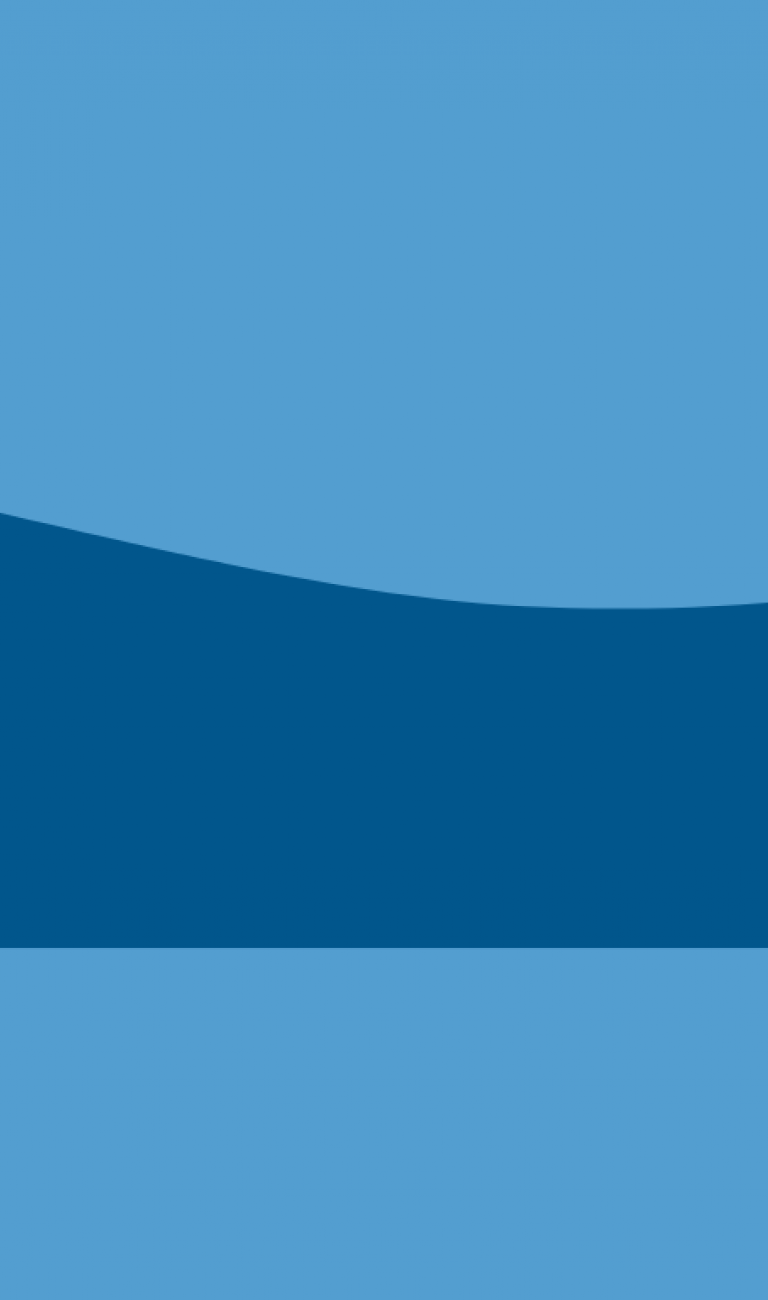 Pickleball Banner